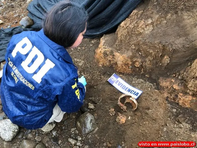 PDI analiza restos humanos encontrados en Lago Ranco