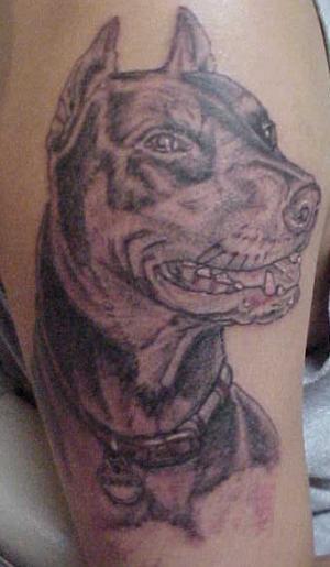 Doberman Pinscher Dog Tattoo