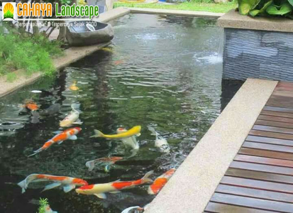 Tukang Kolam Ikan Koi Jakarta