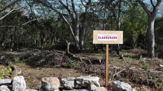 Estados// Autoridad ambiental clausura obra por remoción de vegetación forestal en Querétaro