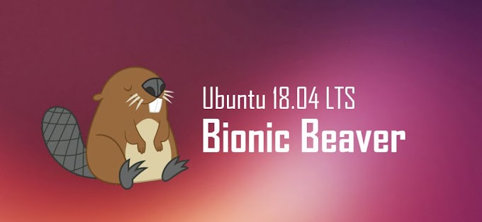 Repository Ubuntu 18.04 Bionic Beaver LTS Server Local Indonesia