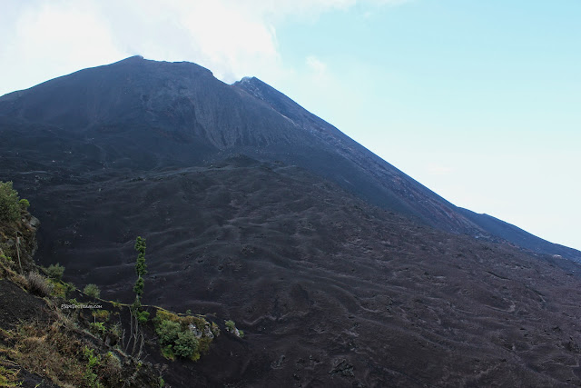 Guatemala volcanoes geology field trip travel Antigua Panajachel Pacaya Fuego Agua Atitlan copyright rocdoctravel.com