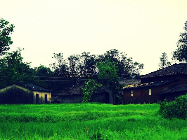 Verdant countryside. Valwanda. Maharashtra. India