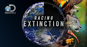Racing extinction opinion personal