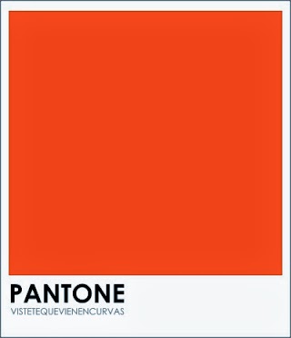Pantone: Tendencias y Colores