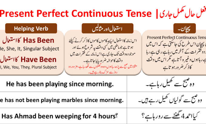 Lesson #6 | Present Perfect Continuous | English Language Course 