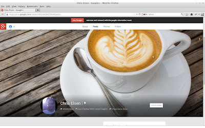 A screen shot of my public profile on Google plus