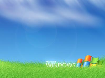 Wallpaper de Windows XP asomando por el verde césped