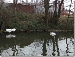 DSCF2776