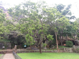 Sigiriya Terraced Gardens, getting close to Boulder Gardens, road paved stones, giant boulders, passage arc, water 