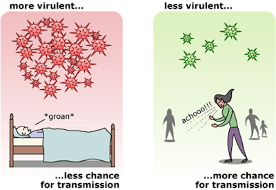 Virulencia. Por lo general la virulencia y la morbilidad son inversamente proporcionales (Casadevall & Pirofski, 2000, 2015), a mayor virulencia menos probabilidad de contagio, y viceversa.