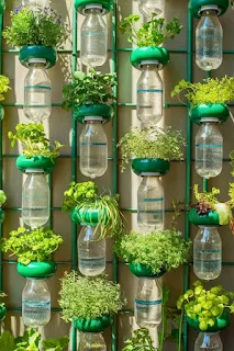 Indoor hydroponic system growing lettuce and herbs