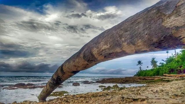 Foto Framing 