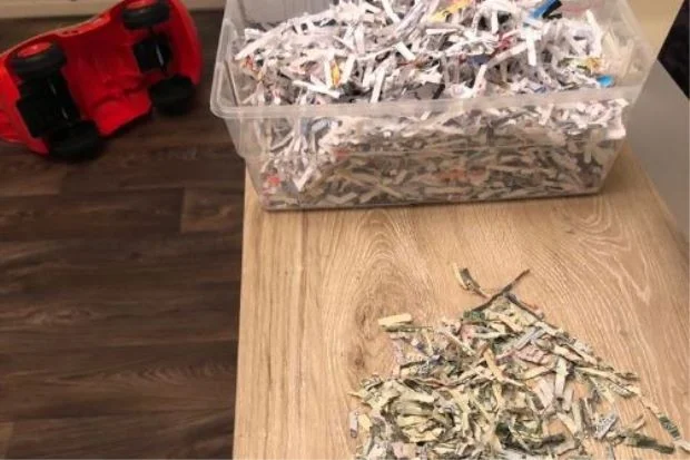 Shredded Dollar Money