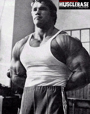 arnold schwarzenegger bodybuilding posters. odybuilding arnold