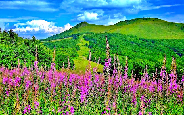 spring landscape photo hd, spring landscape image, spring landscape picture, spring landscape background, spring landscape desktop pc wallpaper, spring landscape high quality wallpaper