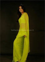 Anushka, shetty, navel, show, in, transparent, saree