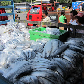 Pontian Wholesale Fish Market 