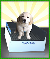 How To Potty Training A Puppy