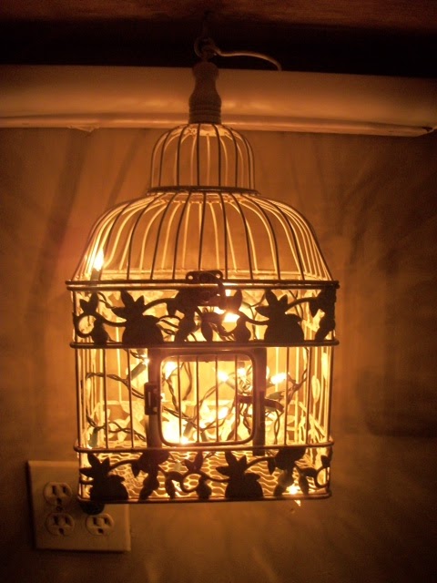 Bird Cage with Lights Inside