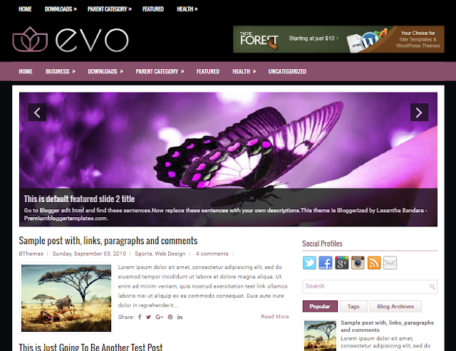 Evo Blogger Template