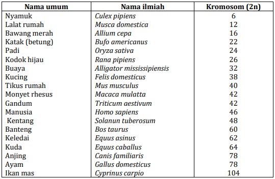 Jumlah Kromosom Beberapa Makhluk Hidup