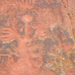 View album