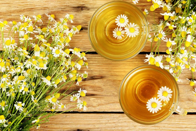 Tips Memanfaatkan Chamomile Tea untuk Perawatan