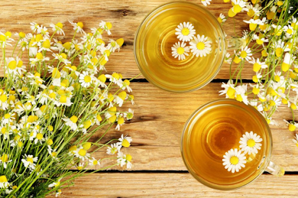 Tips Memanfaatkan Chamomile Tea untuk Perawatan