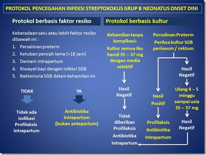 iNFEKSI bAKTERI DAN pROTOZOA 2