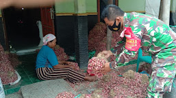   Harga Bawang Merah Anjlok di Demak, Babinsa Mulyorejo Berikan Motivasi Kepada Petani  