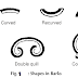 CHARACTERISTICS OF BARKS 