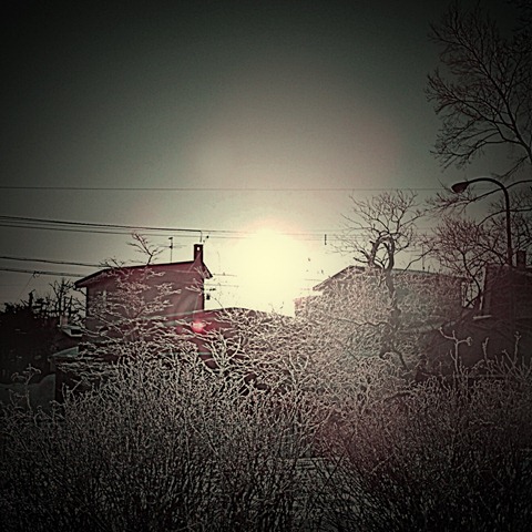 2012.1.2-2 日の出