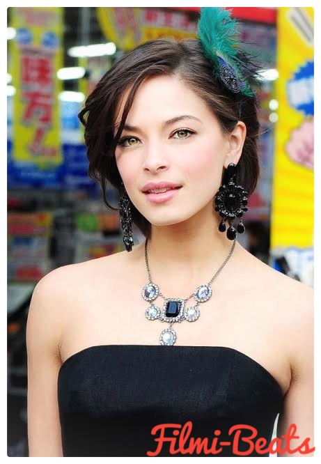 Kristin Krook wallpapers & Biography