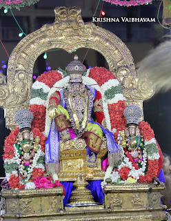 Ranaganathar Perumal, Rangamannar,  Maasi , Purappadu,  Trplicane,  Purappadu, Thiruvallikeni, Utsavam, 