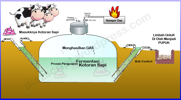 Peternakan: BIOGAS DARI KOTORAN SAPI