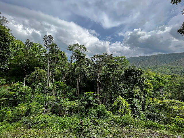 Chiang Mai, Chiang Rai, Tayland, Kamboçya, Kuzey Tayland, Tayland Gezilecek Yerler, Tayland Gezi, Tayland Seyahat, Asya Turu, Asya Turları, Kabile, Kabile Hayatı, uzun boyunlular, uzun boyunlular kabilesi, long neck tribe, karen, wat, budizm, hinduizm, budist, buda, seyahat rehberi, fil bakım merkezi, fil, tapınak, bangkok, phuket, hmong doi pui, tropikal, tropikal hayat, anusarn, sokak yiyecekleri, street food, bazaar