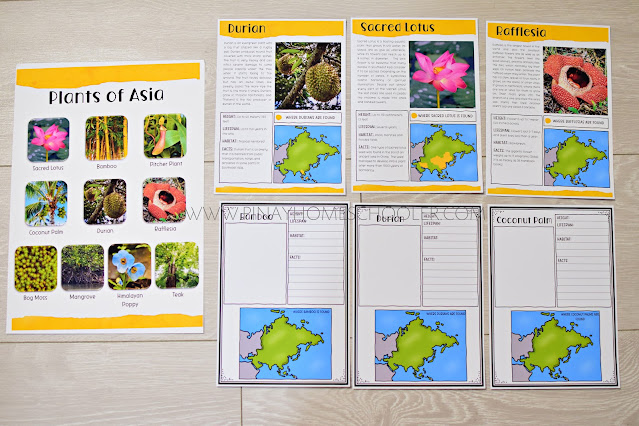 Plants of Asia - Montessori Continent Study