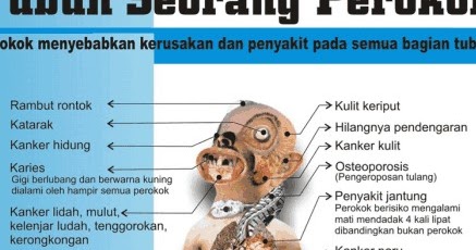 Promosi Kesehatan Gambar Bahaya Merokok