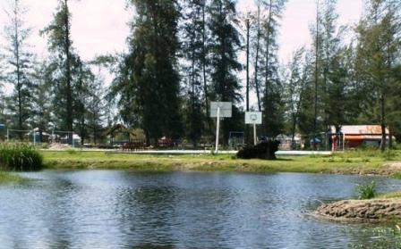 Pantai Cemara Indah aceh barat