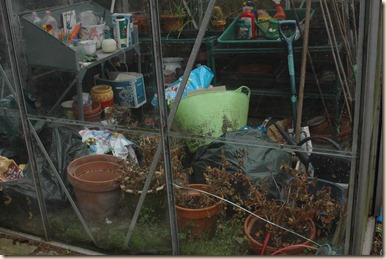 garden a day 001
