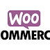 TIENDA ONLINE CON WOOCOMMERCE DESDE CERO