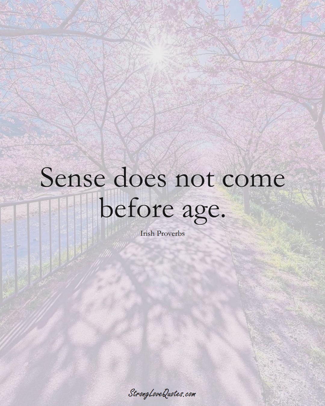 Sense does not come before age. (Irish Sayings);  #EuropeanSayings