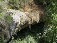 Detall de la Bauma del Torrent d'Esplugues