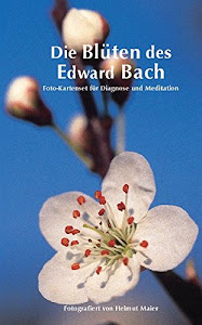 Edition Tirta: Kartenset Die Blüten des Edward Bach