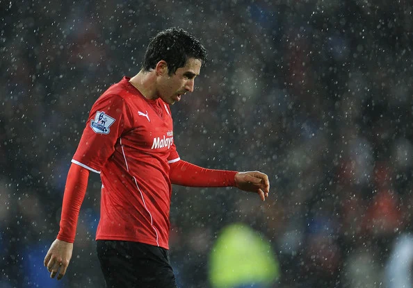 Peter Whittingham of Cardiff City leaves the pitch after scoring the opening goal during the Barclays Premier League match between Cardiff City and West Bromwich Albion at Cardiff City Stadium on December 14, 2013 in Cardiff, Wales