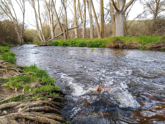 río Guadarrama