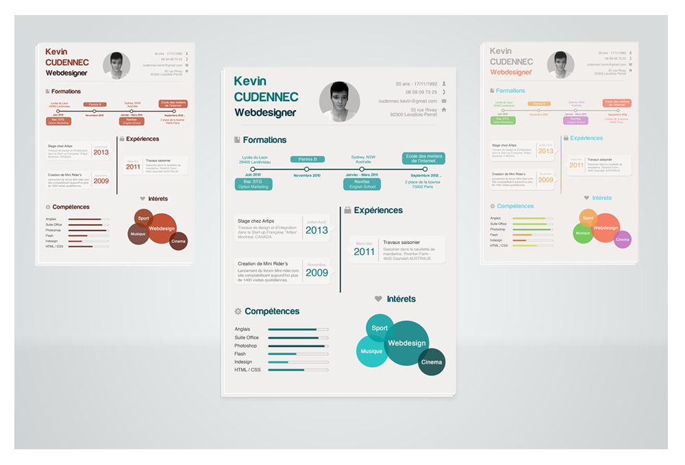 Infographic Resume Download Free