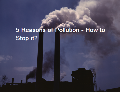 Five Reasons of Pollution - How to Stop It?