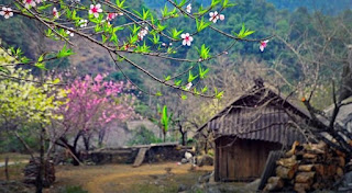 Từ Minh đại ý